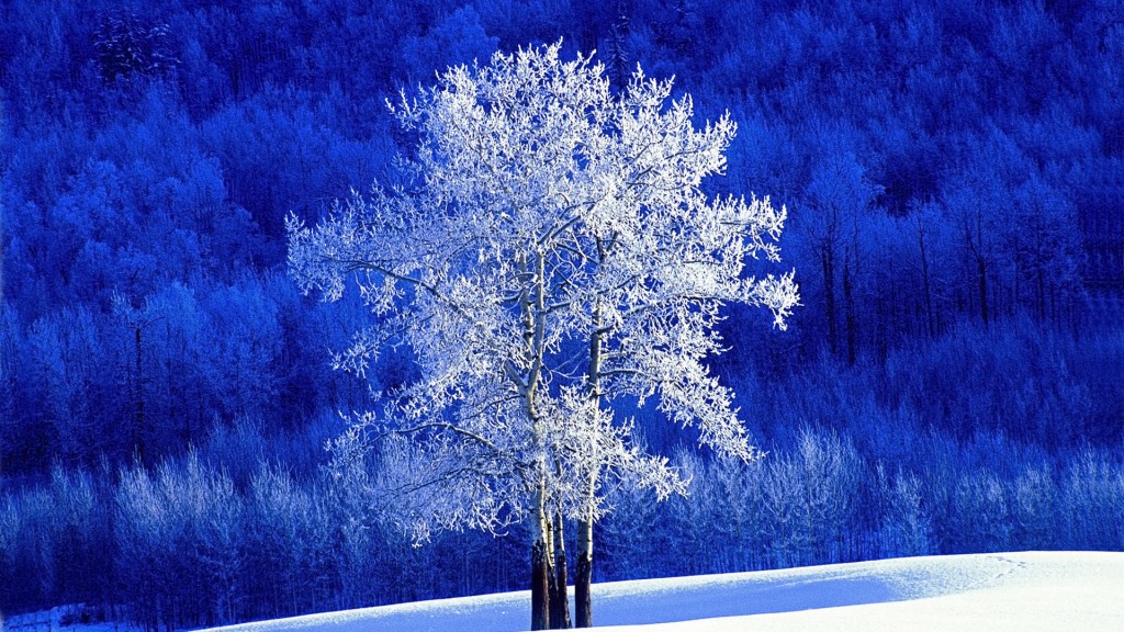 Winter_snows_Windows_7_themes_desktop_wallpaper_8_1920x1080